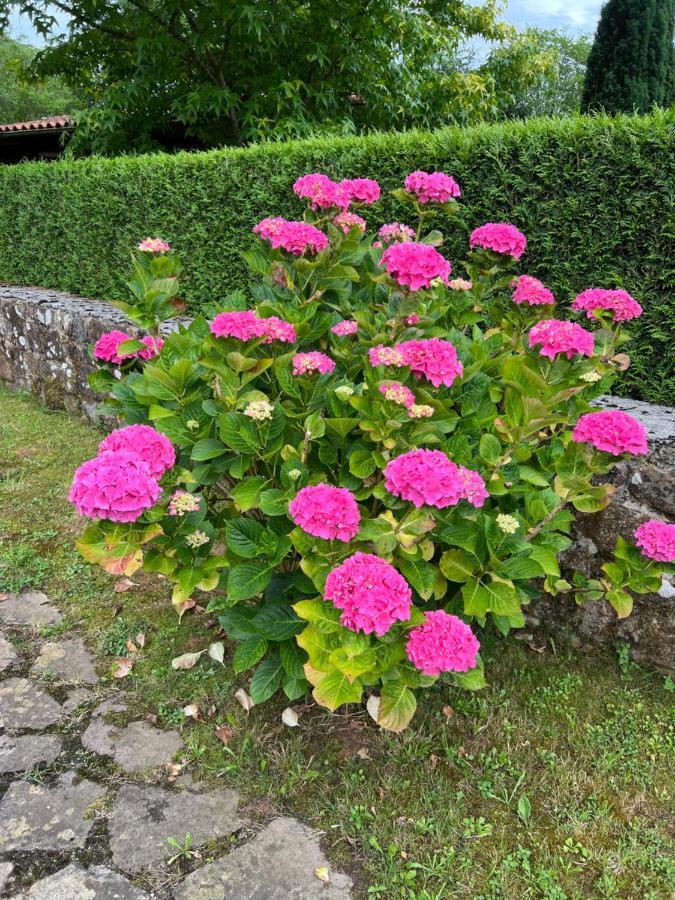 Casa En Treceno 5 Dormitorios Y 2 Plantas Экстерьер фото