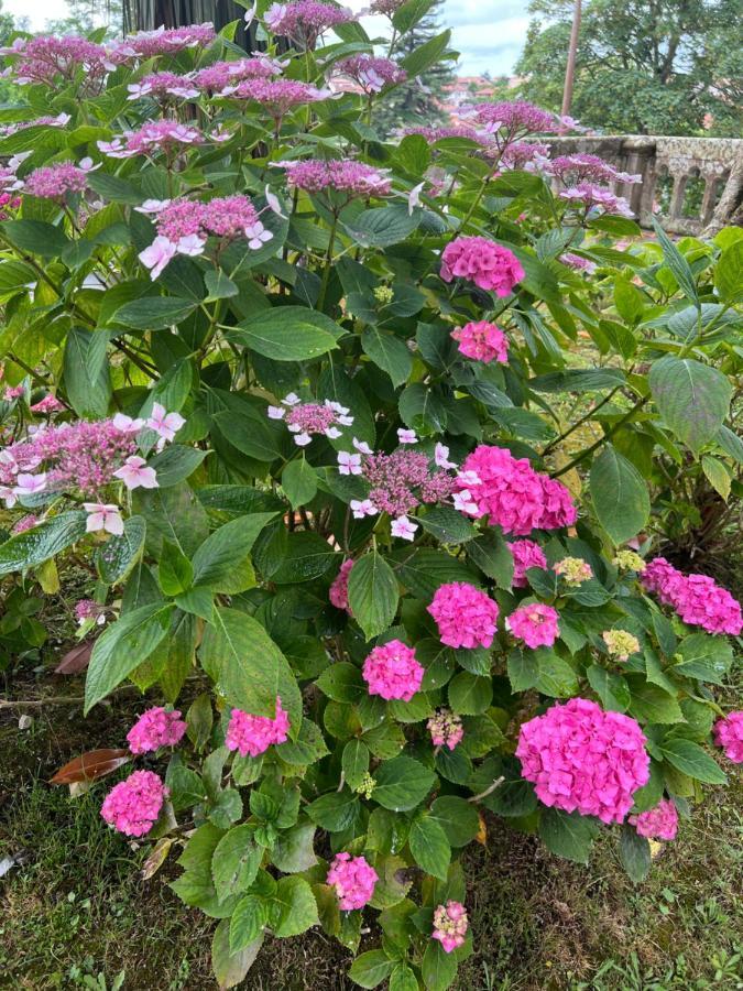 Casa En Treceno 5 Dormitorios Y 2 Plantas Экстерьер фото